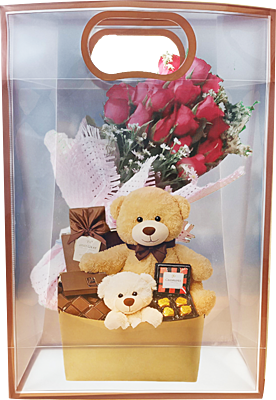 Pack of 6 Transparent Goodie Bags | Clear Medium Gift Bags for Return Gifts, Party Favors, Birthday, Wedding, Baby Shower | Brown Gift Bags Pack of 6 Transparent Goodie Bags | Clear Medium Gift Bags for Return Gifts, Party Favors, Birthday, Wedding, Baby Shower | Brown Gift Bags